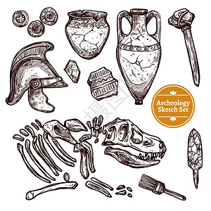 陶瓷工具考古学手绘草图集考古学手绘素描集的古生物考古古发现矢量插图插画