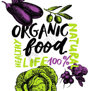 生态食品菜单背景手绘草图蔬菜农贸市场海报刻字矢量插图图片