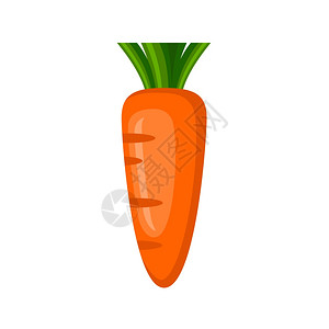白色背景上的胡萝卜蔬菜,维生素,健康食品饮食,素食主义矢量图片