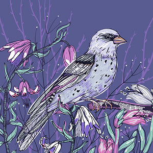 矢量手绘制了只鸟春天盛开的花紫罗兰背景上的插图图片