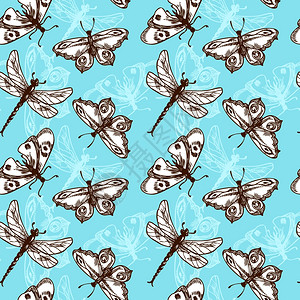 蝴蝶蜻蜓昆虫蓝色素描无缝图案矢量插图图片
