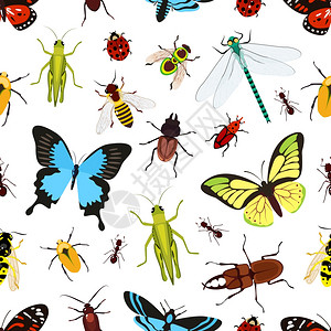 昆虫彩色无缝图案与蝗虫黄蜂蝴蝶矢量插图背景图片