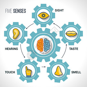 五感与人体器官图标大脑齿轮矢量插图高清图片