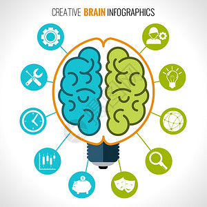 创造的大脑信息半球灯泡智力创造力符号矢量插图背景图片
