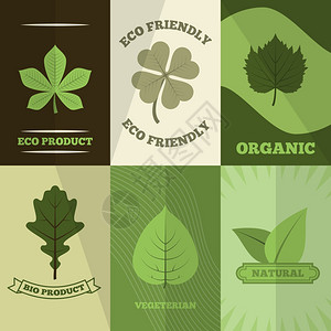 绿三叶草叶机天然生物制品标签六平图标成抽象孤立矢量插图插画