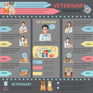 兽医平信息图集与宠物医生动物矢量插图图片