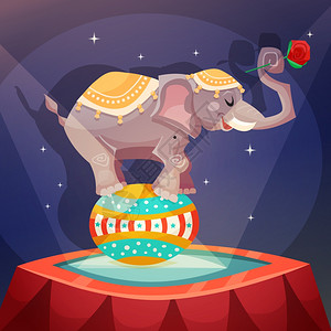 大象跳舞马戏老式海报与大象杂技平衡球矢量插图插画
