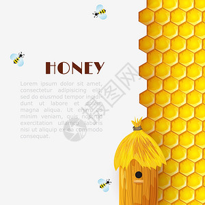 蜂蜜背景与六角蜂窝蜂窝大黄蜂昆虫矢量插图背景图片