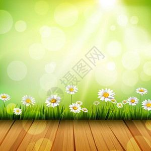 白色木地板春天的背景与木地板草白色雏菊花太阳矢量插图插画