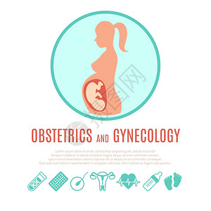 特罗佩医学基因生态学产科教育妊娠发展图片演示与信息图元素海报打印抽象矢量插图插画