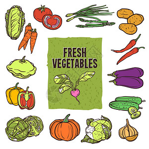 南瓜沙拉蔬菜草图图标菜花,芦笋,卷心菜大蒜分离矢量插图蔬菜素描套装插画
