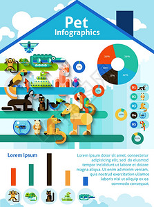 宠物信息与家畜,爬行动物鸟类图表矢量插图宠物信息图集图片