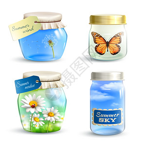 洋甘菊蝴蝶现实的璃罐夏季花卉天空蝴蝶内部矢量插图夏天的罐子插画