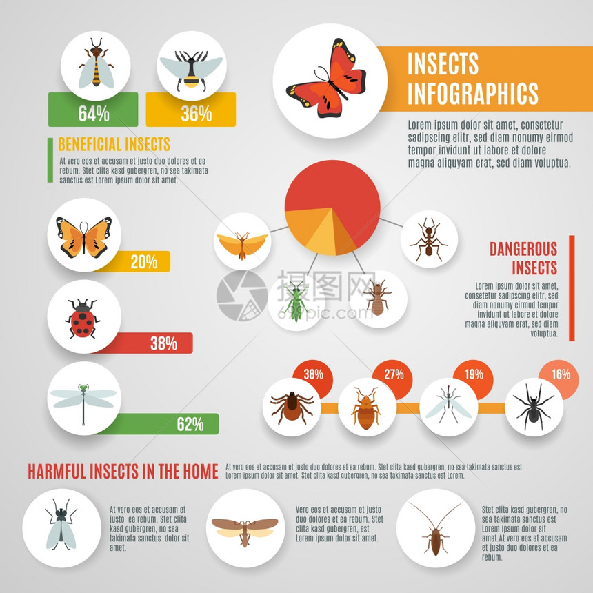带野生害虫符号图表矢量插图的昆虫信息图集昆虫信息图集图片