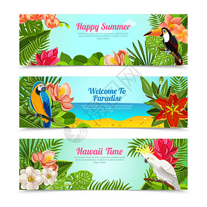 奥克尼群岛岛快乐时光夏威夷群岛暑假水平海报热带植物花卉抽象孤立矢量插图热带岛屿花卉水平横幅插画