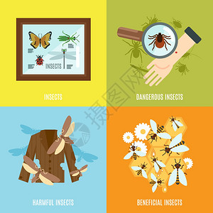 昆虫集与危险的害益的生物平图标矢量插图昆虫平集图片