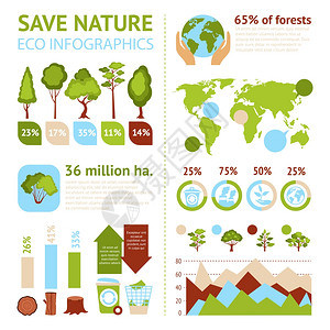 保存自然生态信息集与森林符号图表矢量插图森林信息图集背景图片