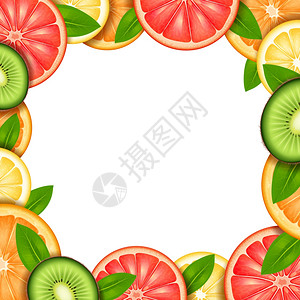 表格框架水果框架与切片橙色猕猴桃柠檬葡萄柚边界矢量插图水果框架插图插画