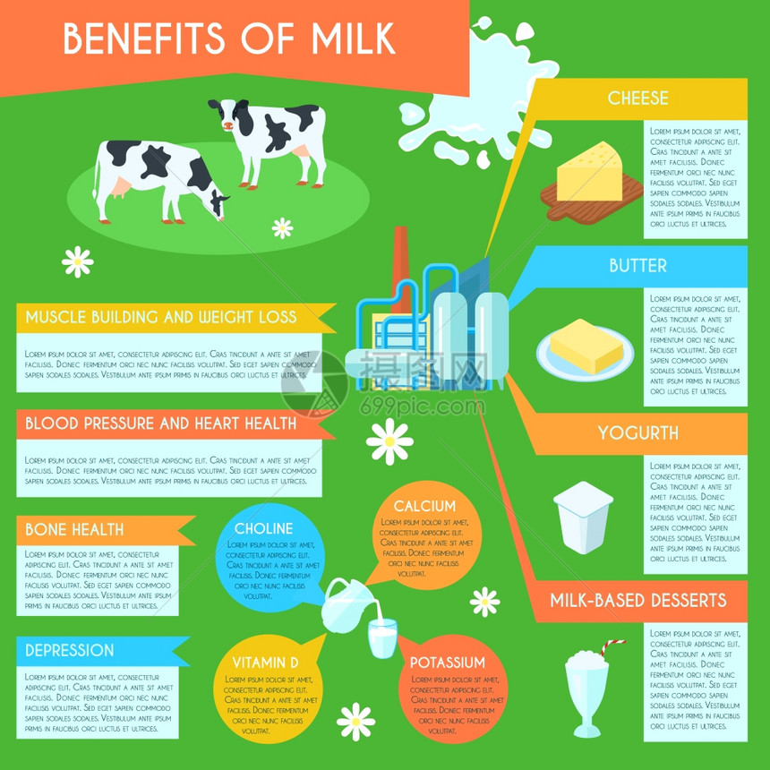 牛奶信息图表布局海报牛奶乳制品低脂产品的健康益处消费信息图表布局信息海报抽象矢量插图图片