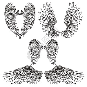 魔鬼的翅膀天鸟类翅膀抽象草图集孤立矢量插图翅膀草图集插画