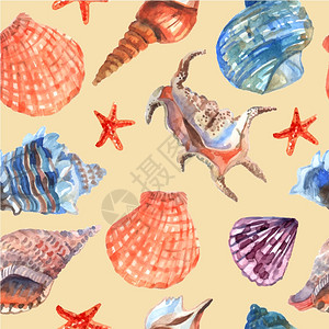 船用壳体无缝图案海洋贝壳海星海边的暑假壁纸装饰瓷砖抽象无缝矢量插图图片
