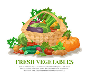 静物用篮子装满新鲜的天然蔬菜平矢量插图蔬菜篮子还活着图片
