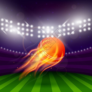 红色皮革晚上的板球体育场与飞行球火灾矢量插图板球之夜体育场插画