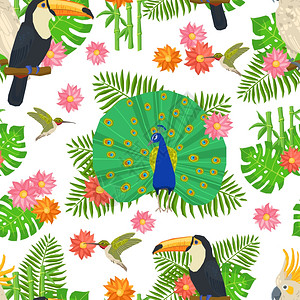 孔雀纹理热带鸟类外来花草无缝图案矢量插图鸟无缝图案插画