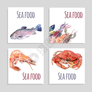 鱼虾海鲜海鲜水彩横幅套海鲜水彩广场横幅螃蟹鱼虾分离矢量插图插画