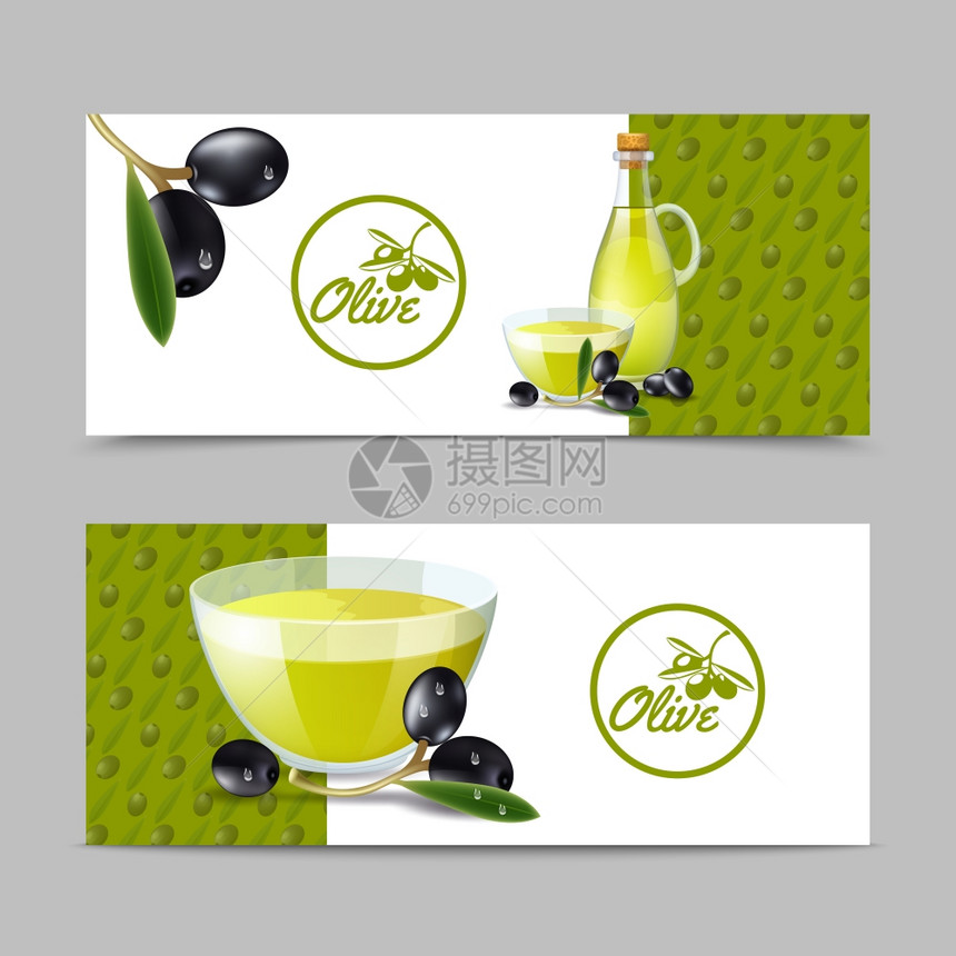 橄榄油水平横幅树枝水果分离矢量插图橄榄油横幅套图片