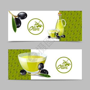 橄榄油水平横幅树枝水果分离矢量插图橄榄油横幅套图片
