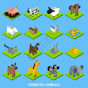 等距动物三维仓鼠猪羊兔等距矢量插图等距动物集合背景图片