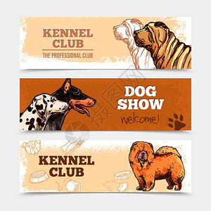 狗俱乐部水平横幅与手绘品种矢量插图狗横幅图片