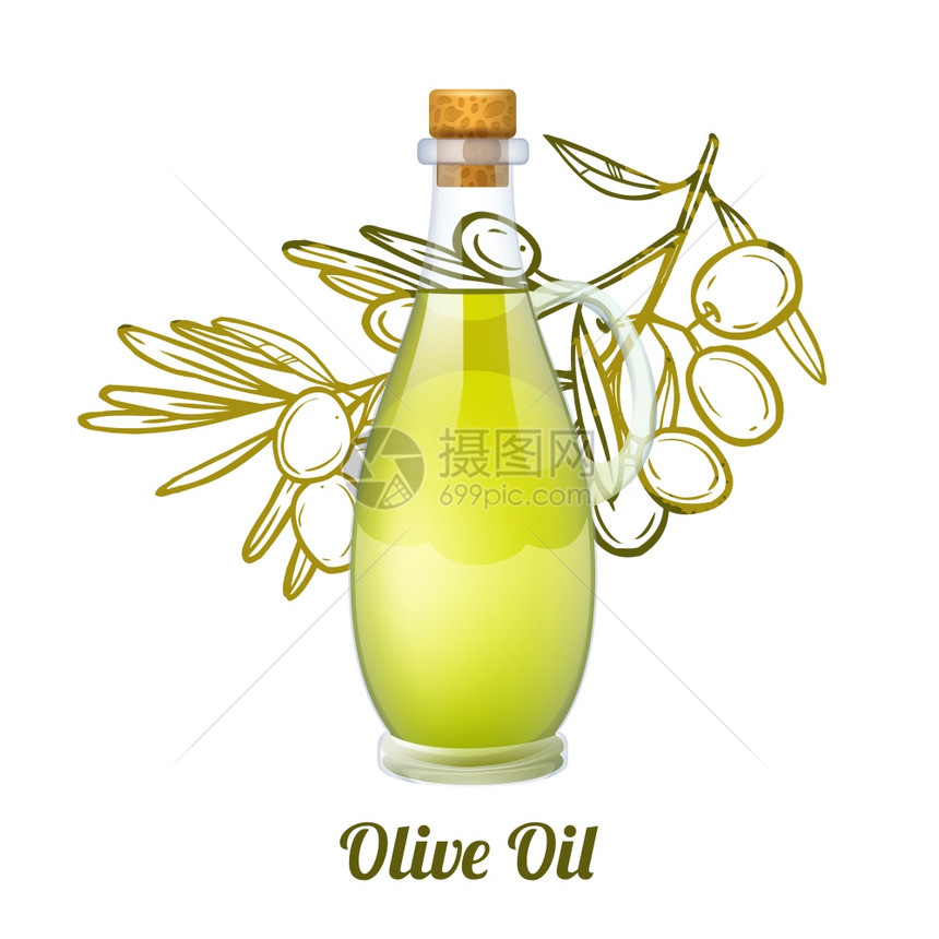 橄榄油与现实璃瓶素描水果枝背景矢量插图橄榄油素描图片