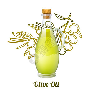 橄榄油与现实璃瓶素描水果枝背景矢量插图橄榄油素描图片