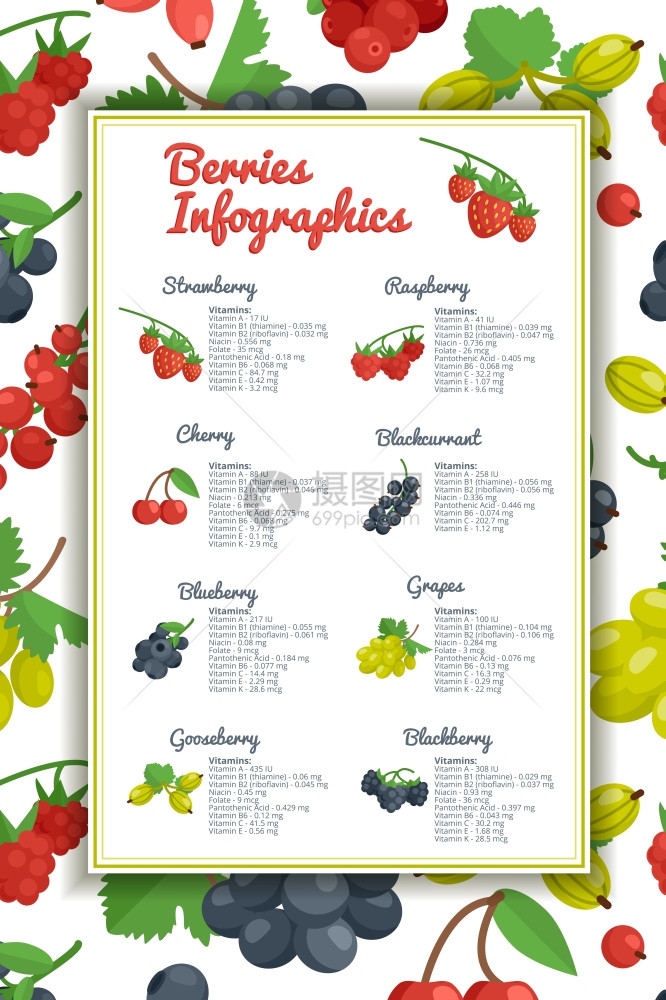 浆果信息摄影集浆果信息集与草莓蓝莓樱桃醋栗平矢量插图图片