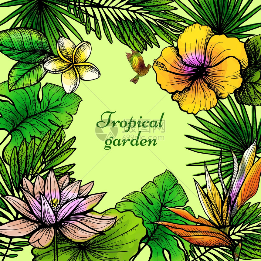 热带树叶框架与手绘异国花卉鸟类矢量插图热带树叶框架图片