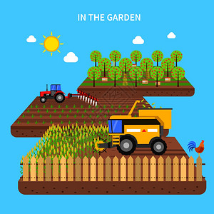 农业与拖拉机收获田间平矢量插图农业插图背景图片