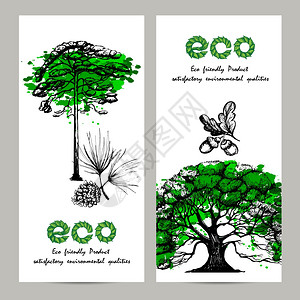 生态垂直横幅手绘橡木松树孤立矢量插图生态横幅套图片