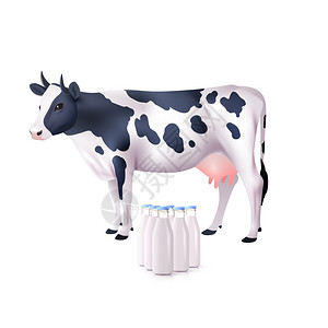 逼真的白色黑色斑点牛与奶瓶矢量插图牛奶奶瓶图片