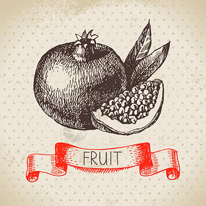 石榴手机端模板手绘素描水果石榴生态食品背景矢量插图x9插画