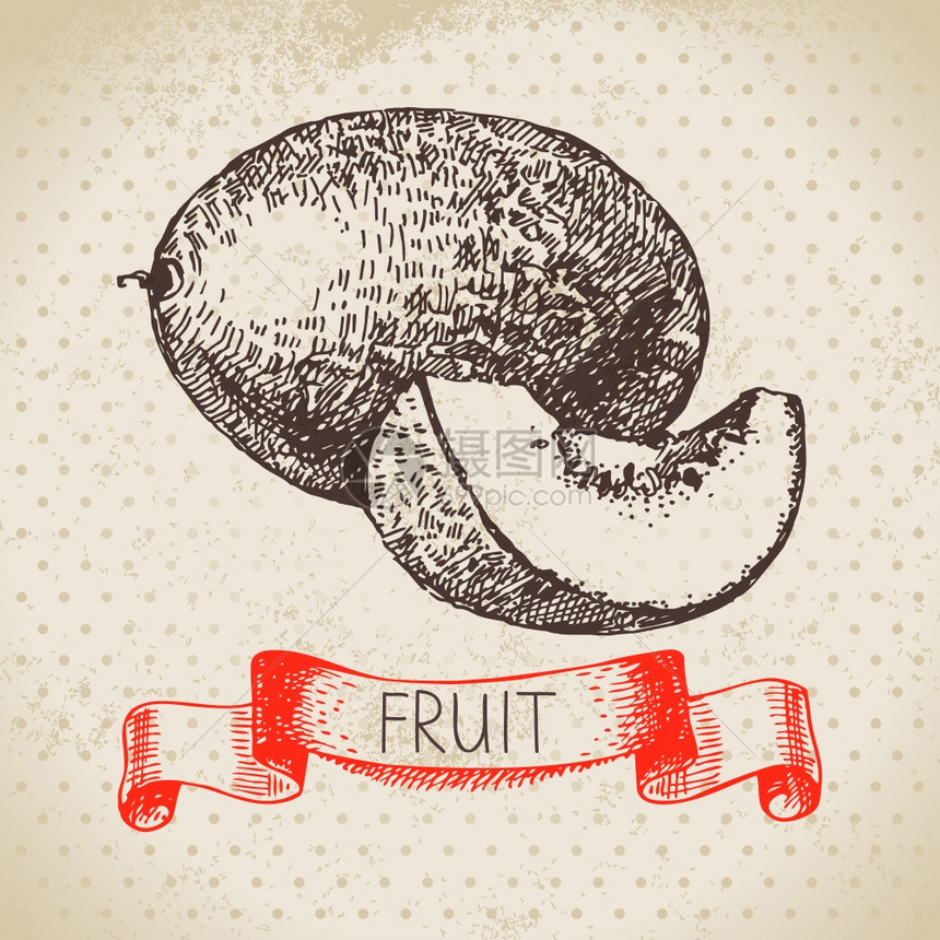 手绘素描水果瓜生态食品背景矢量插图图片