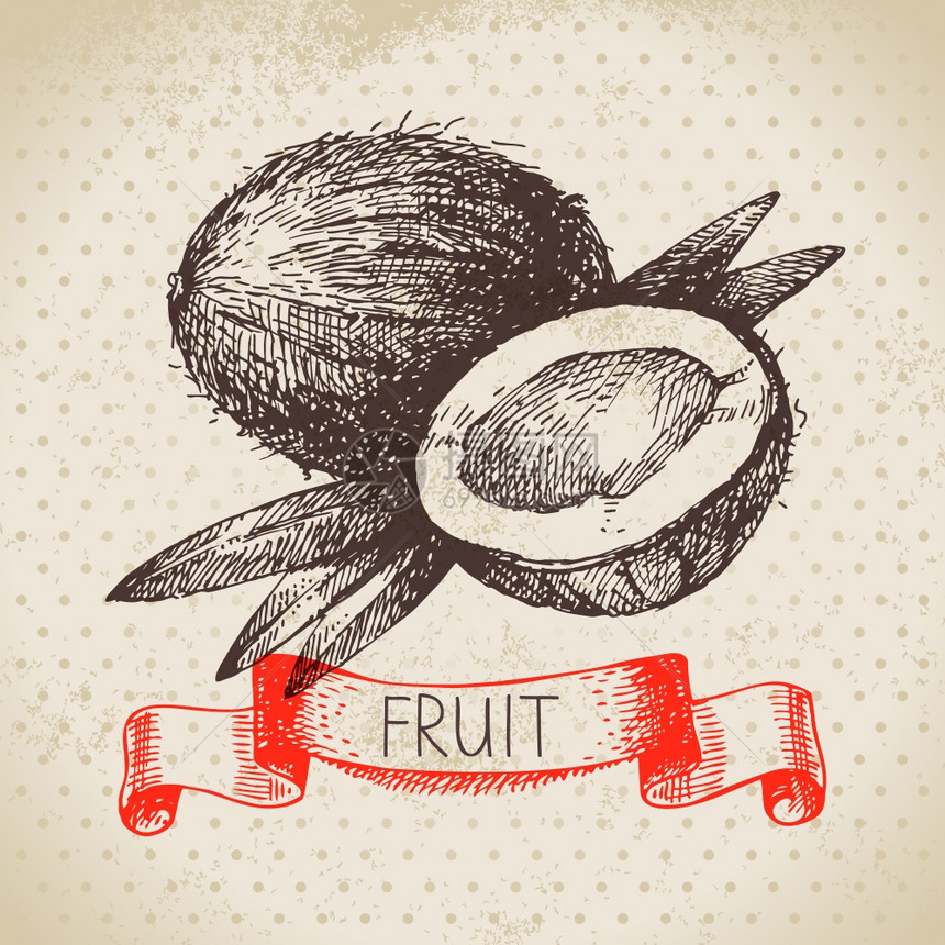 手绘素描水果椰子生态食品背景矢量插图图片