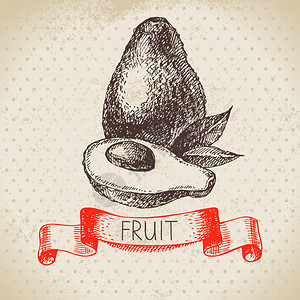 手绘草图水果鳄梨生态食品背景矢量插图图片