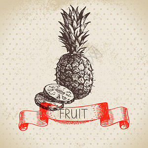 手绘素描水果菠萝生态食品背景矢量插图图片