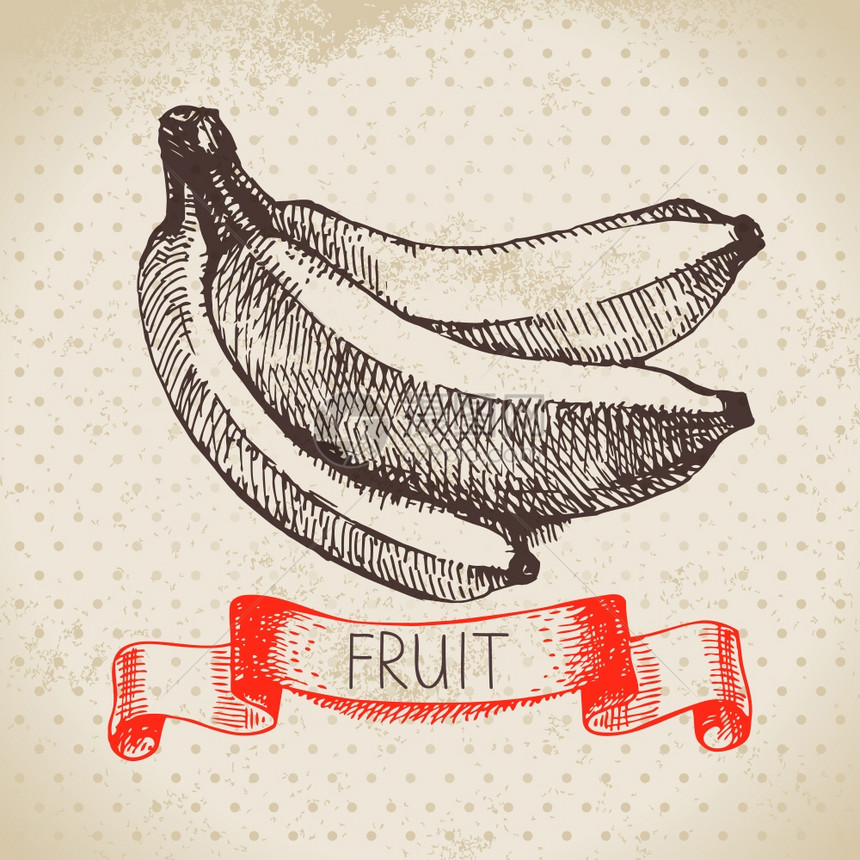手绘素描水果香蕉生态食品背景矢量插图图片