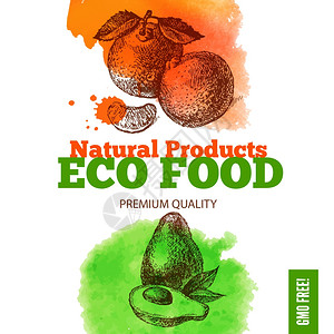 生态食品菜单背景水彩画手绘素描水果矢量插图图片