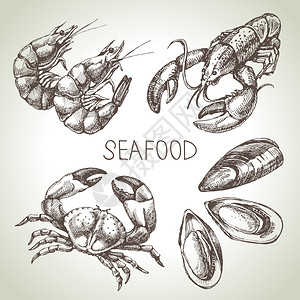 龙虾菜单宣传单手绘海鲜草图套矢量插图插画