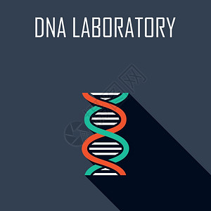 DNA实验室平图标矢量插图图片
