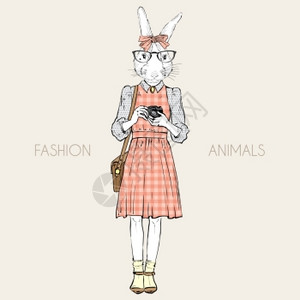 时尚插图可爱的兔子时髦与光电相机图片